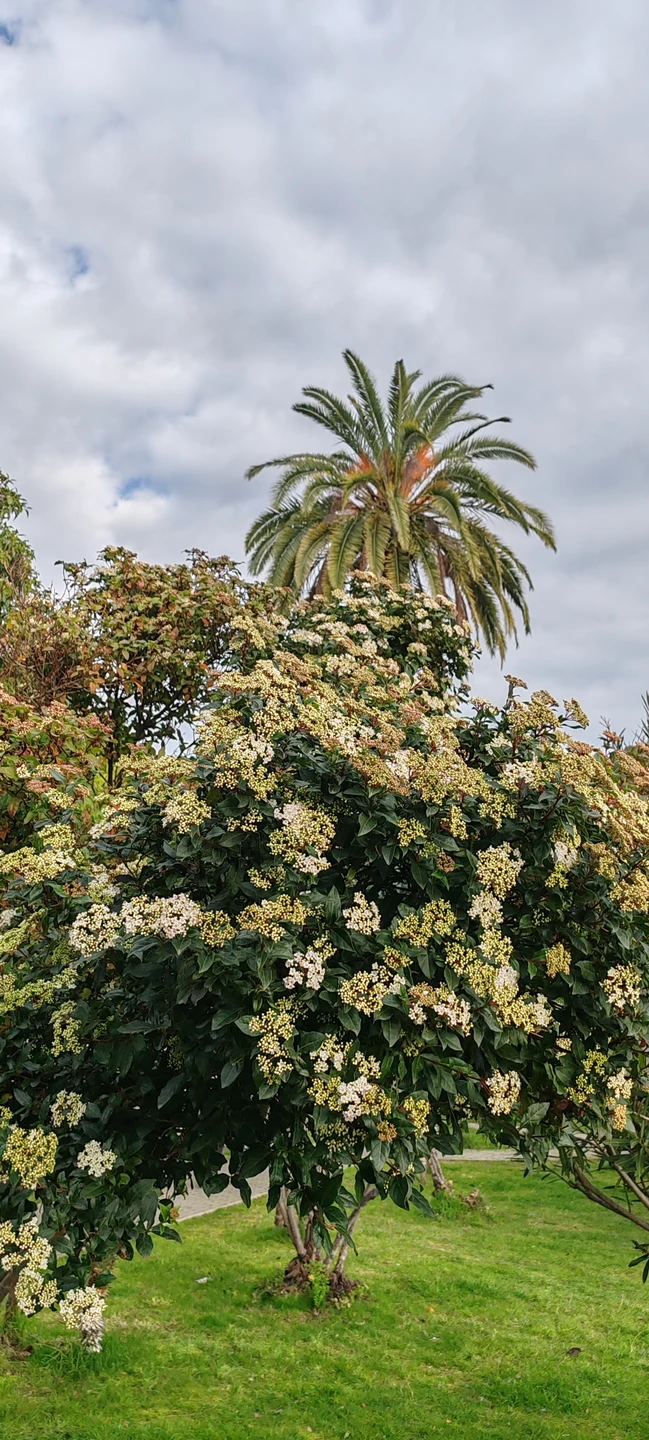Шикарная экскурсия! Не первый раз были в Абхазии, и по такому же маршруту не первый раз