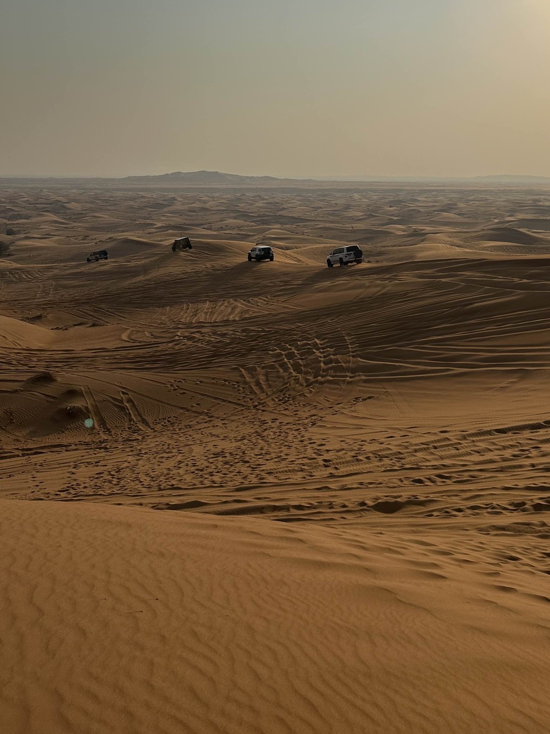 Все прошло по плану. Забрали из гостиницы в обещанное время. Красивейшая пустыня. Закат. Кофе, вода, финики. Сендборд.