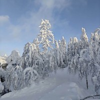 Фото отзыва 2: экскурсия "Каменный город и Усьвинские Столбы"