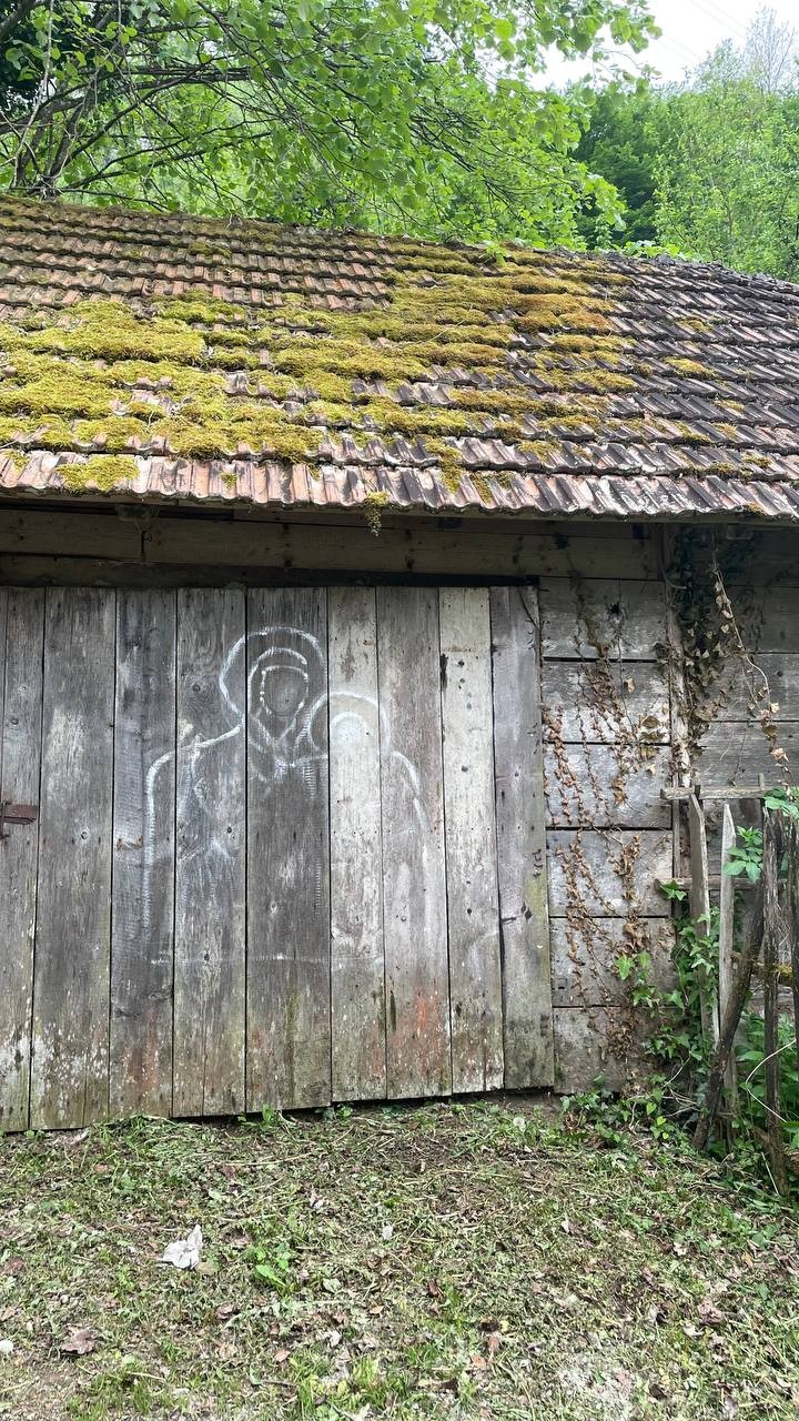 Мы путешествовали в Национальный парк Тара. Нашим гидом, водителем и прекрасным рассказчиком стала Ольга. Мы заранее