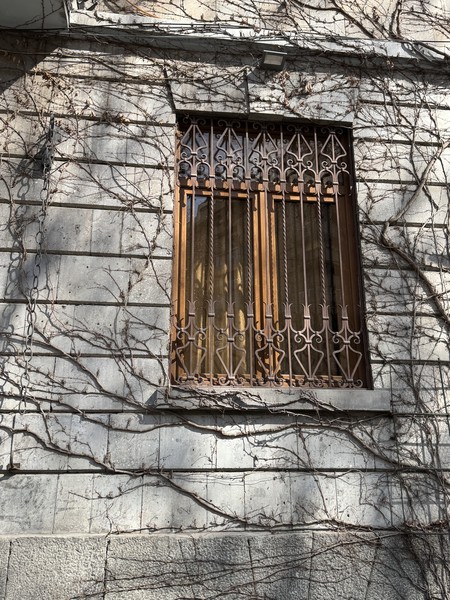 Очень прикольная, динамичная, насыщенная экскурсия от знатока города. История города, страны, показ главных достопримечательностей и мелких