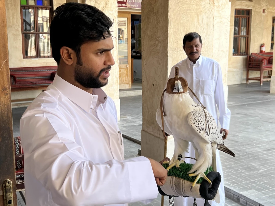 У нас был всего один день, чтобы познакомится с Дохой. Экскурсовод Мария всегда была на связи