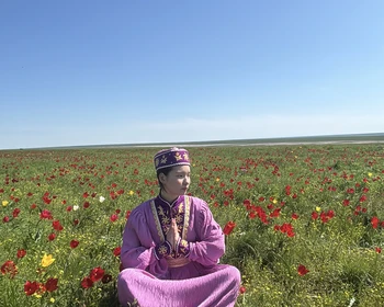 Тюльпанные поля, Одинокий тополь