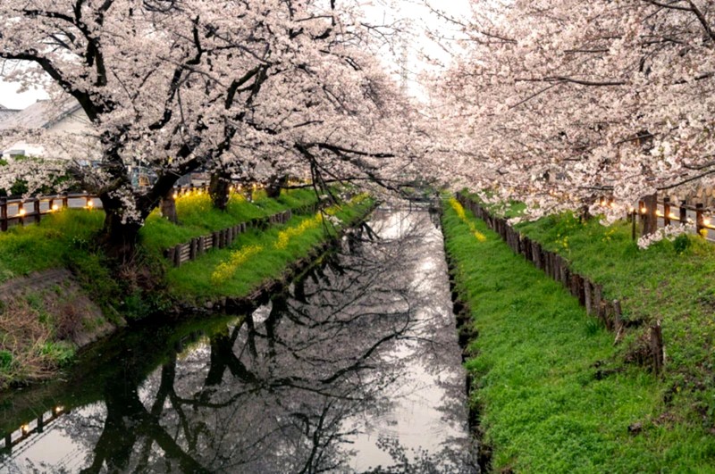 Старинный Кавагоэ: традиции бусидо