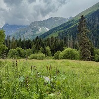 Фото отзыва 2: экскурсия "Домбай — место силы. Путешествие в мини-группе из Ессентуков"