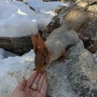 Фото отзыва 1: экскурсия "Национальный парк «Ала-Арча»: приключение в горах близ Бишкека"