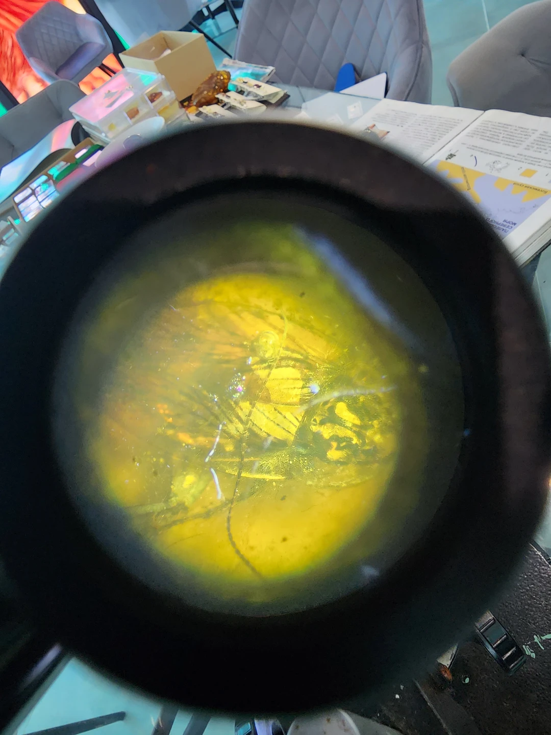 Авторское фотопутешествие по Куршской косе и Зеленоградску (Андрей)