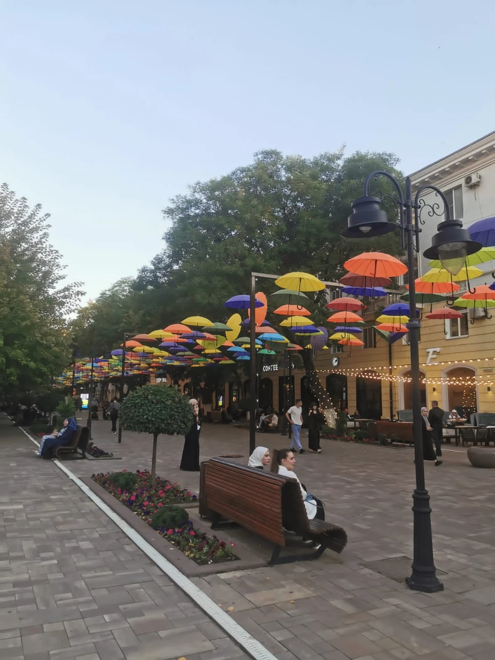 В Чечню из Кисловодска — утром или вечером (11/13)