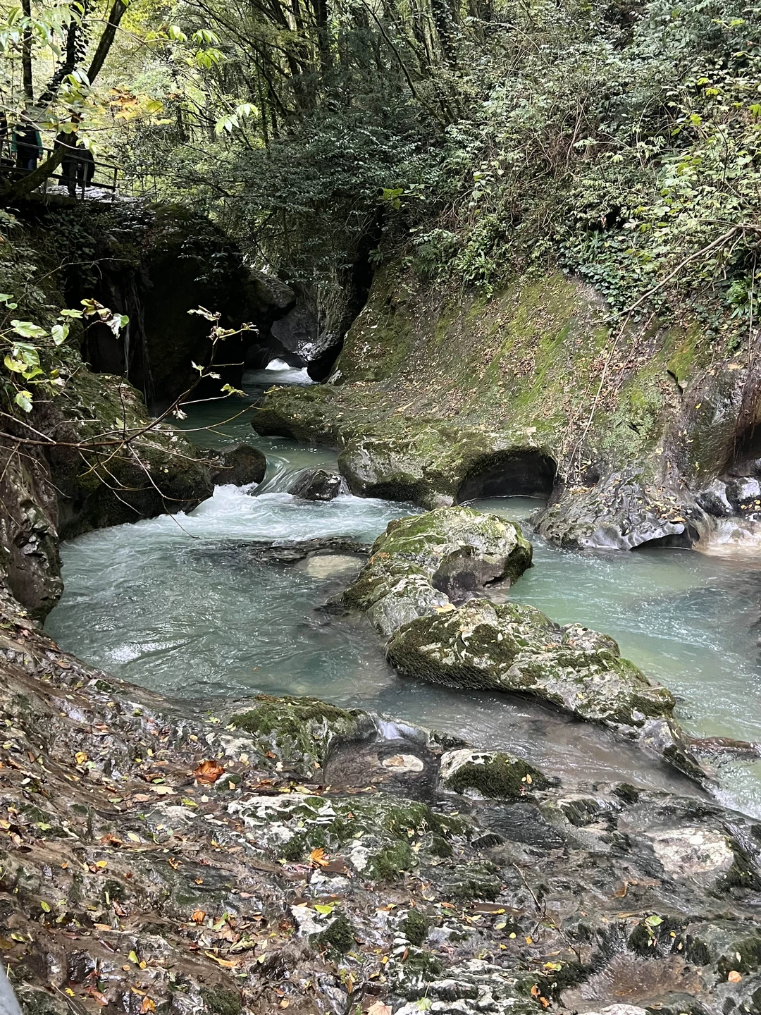 Маршрут прекрасный, очень живописный, источники - супер! Спасибо 😍🫶🏼
