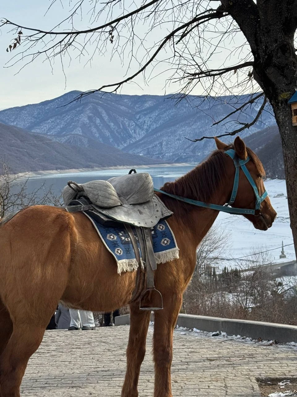 Групповая поездка из Тбилиси - в Казбеги и Гудаури (Кристина)