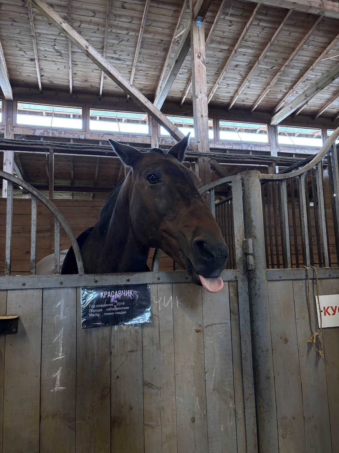 Все прошло 🔥👍