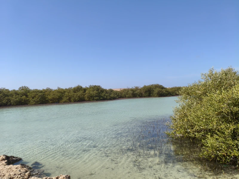 Замечательная экскурсия, всем смело рекомендую! Риф очень красивый, гид в процессе снорка очень внимательный, показывает где