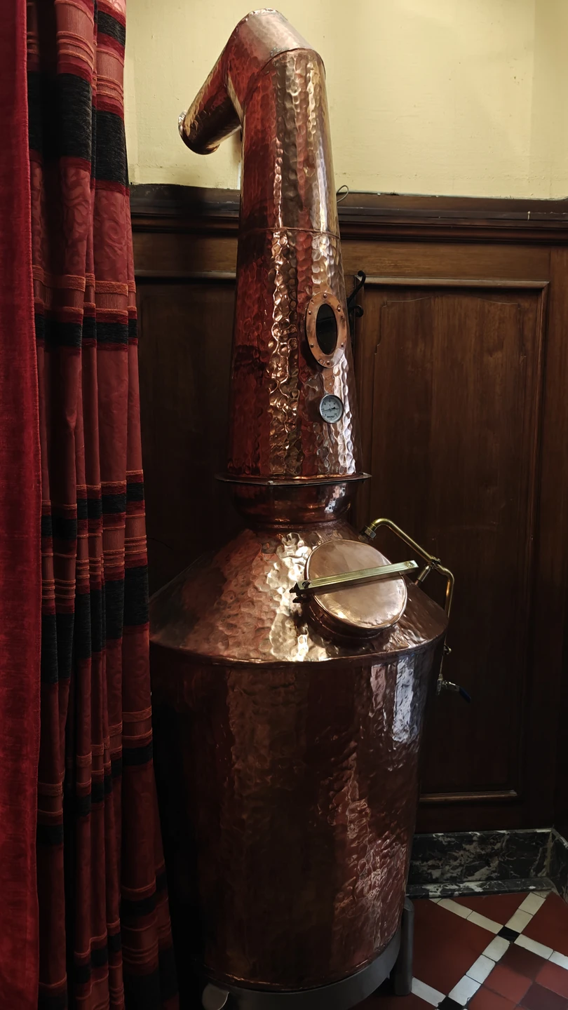 Экскурсия оставила исключительно приятные впечатления. С самого начала было ощущение, будто мы знакомы уже давно —