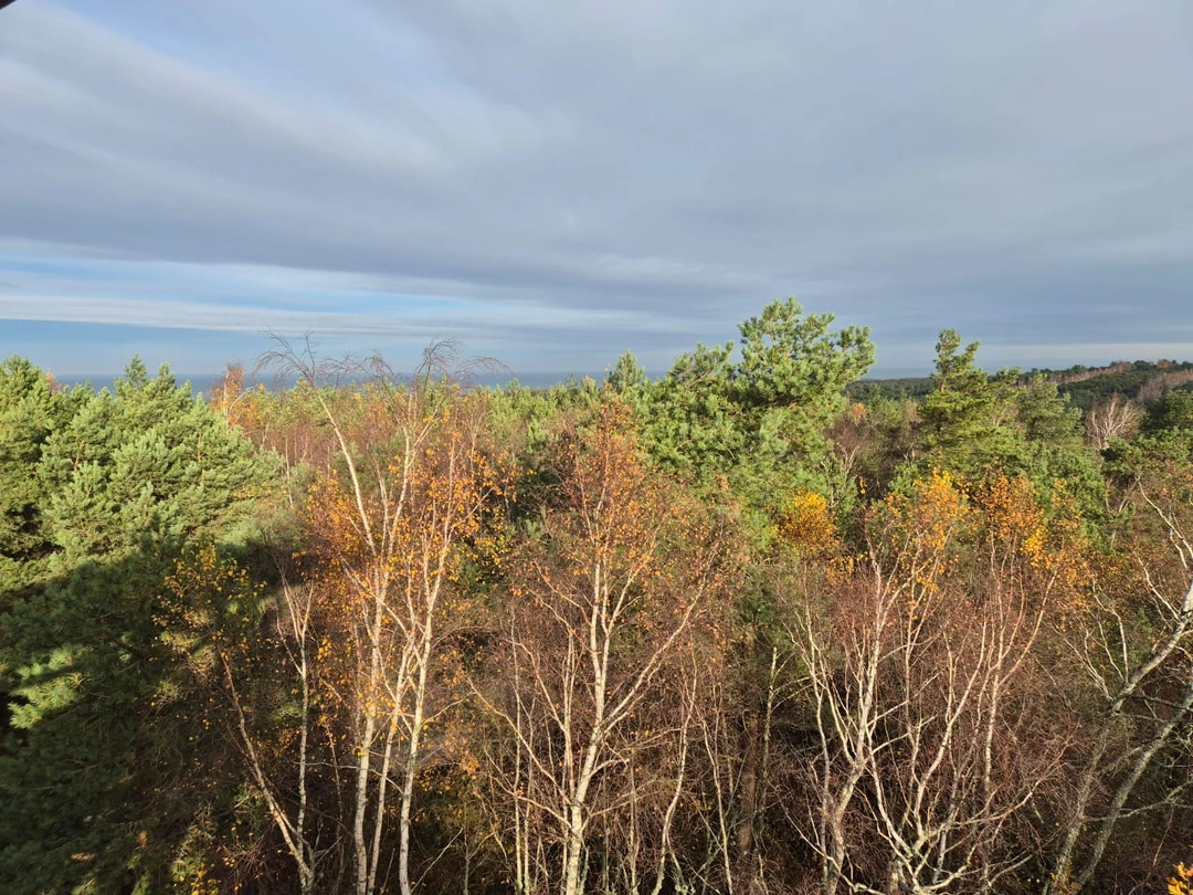 Топ-места Куршской косы (Елена)