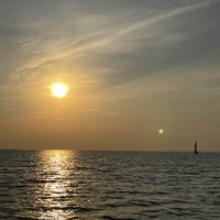 reviews img
