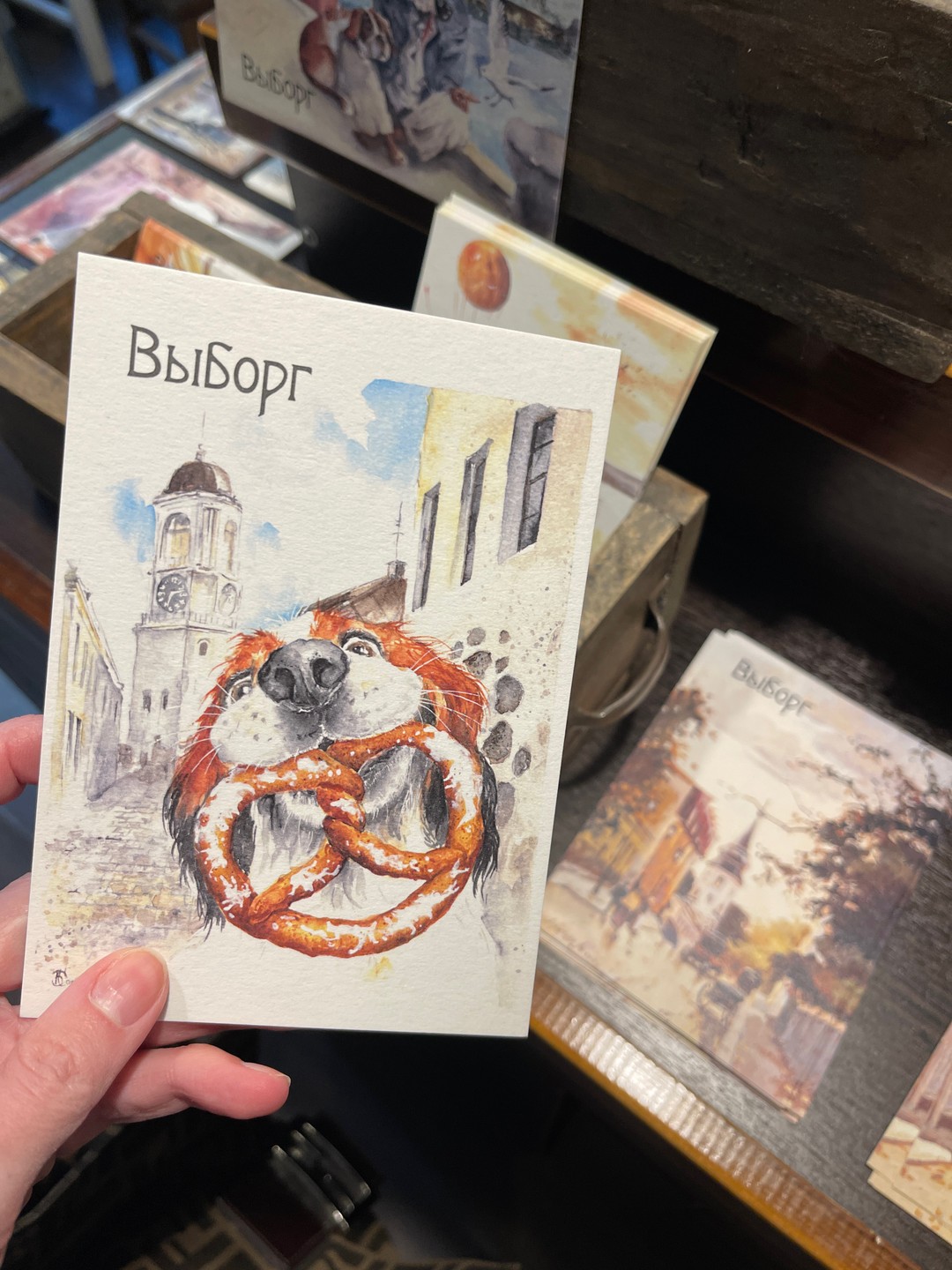 Выборг - путешествие во времени. Групповая экскурсия (Фирсанова)