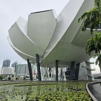 reviews img