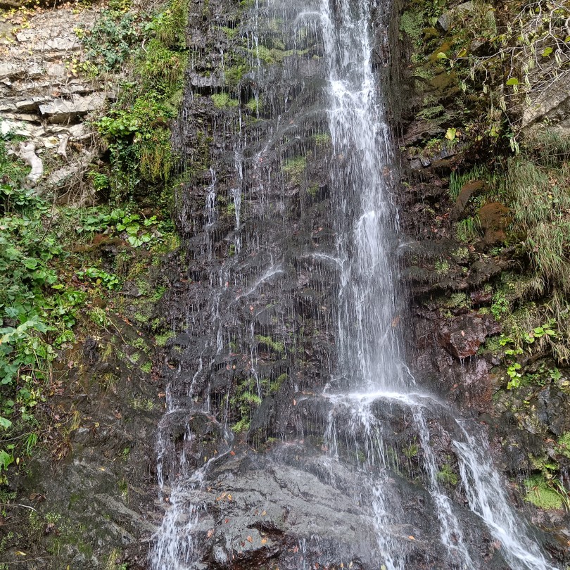 Прекрасно проведенное время с великолепным рассказчиком на фоне потрясающей природы! Спасибо огромное Светлане!