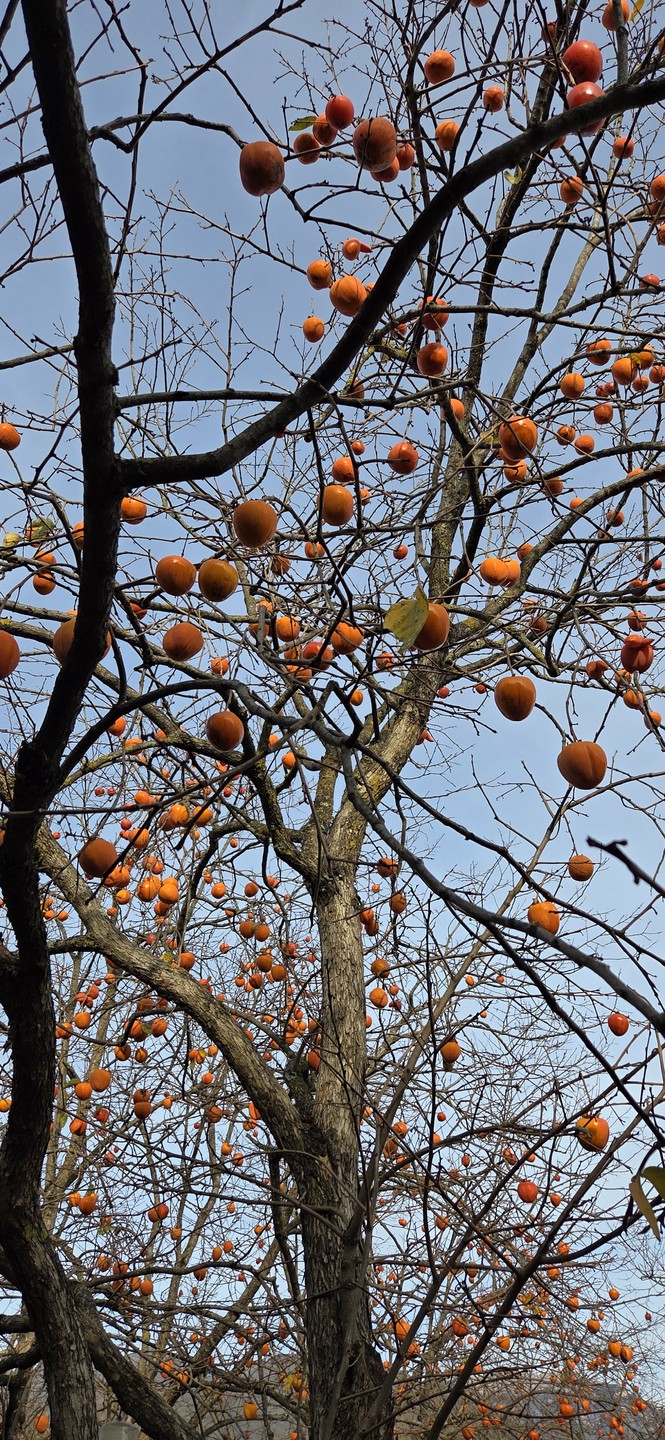 Добрый день! Ездили с гидом Славиком в Апсны - Страну Души. Повезло с погодой и с