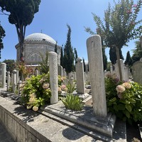 Фото отзыва 4: экскурсия "Знакомство со Стамбулом: Старый город + прогулка по Босфору"