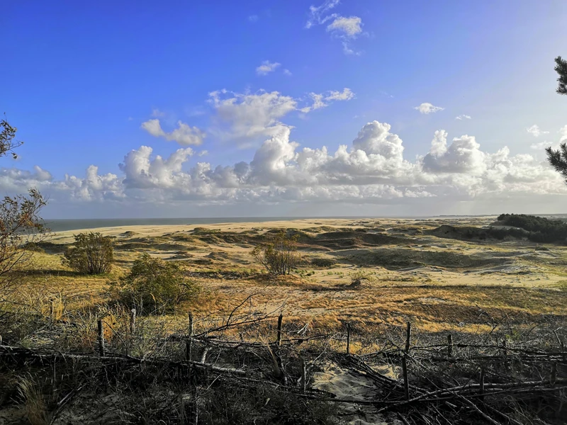 Классический маршрут на Куршскую косу - из Калининграда