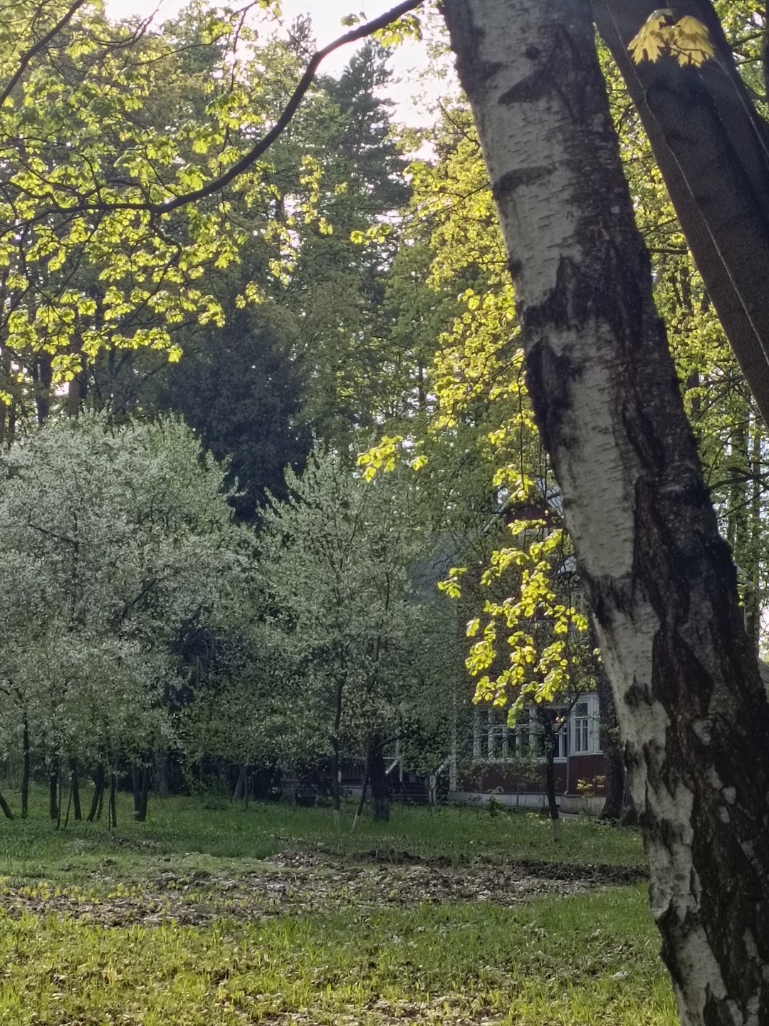 Литературное Переделкино (Наталья)