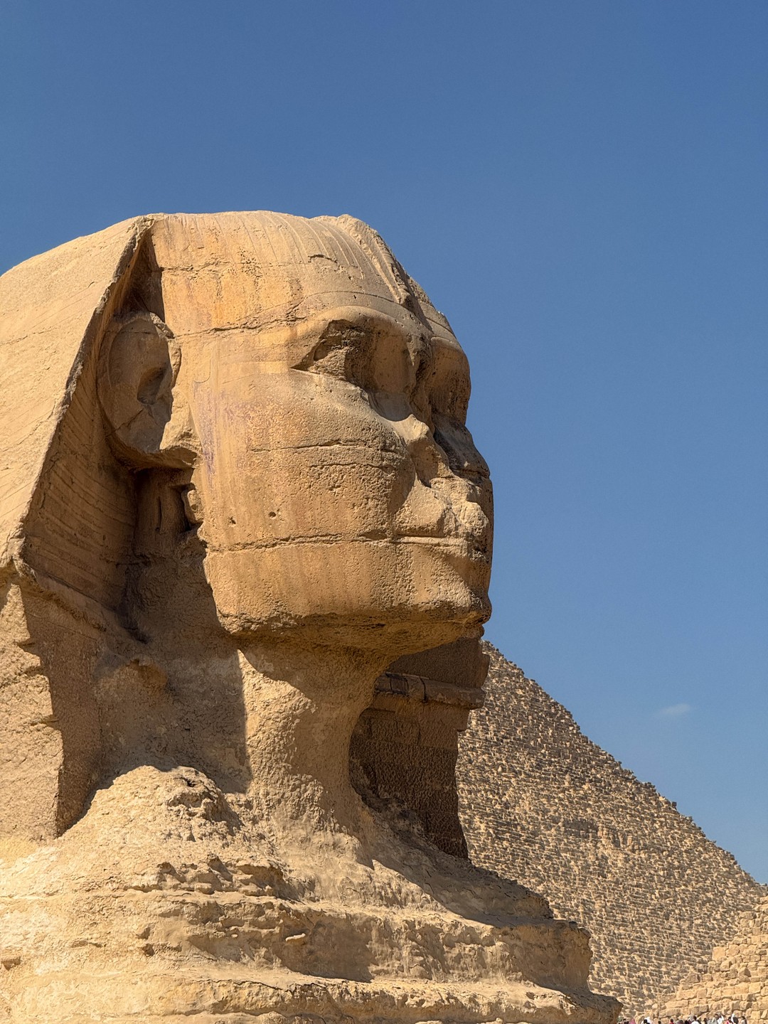 Поездка в Каир прошла отлично! Мы ехали в мини-группе всего из трёх человек, так что всё прошло максимально комфортно, без толпы и суеты