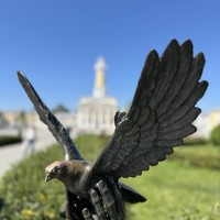 reviews img