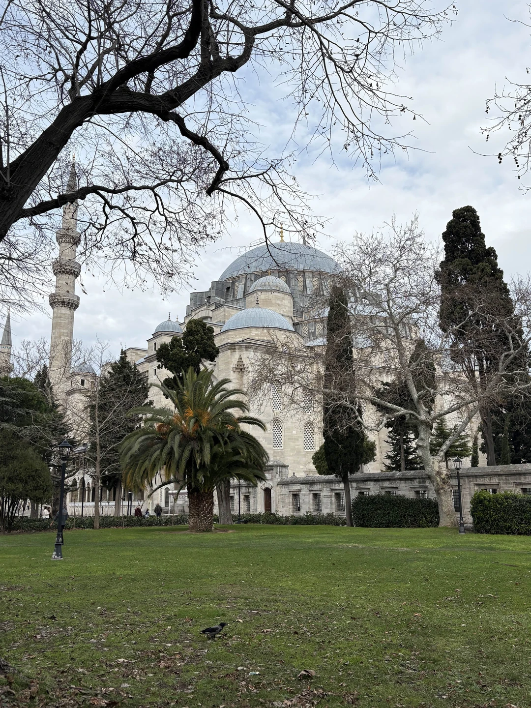 Что посмотреть в Стамбуле за 5 часов (Оксана)