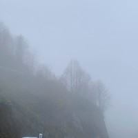 Отзыв о экскурсии "Прикосновение к облакам — в Гомисмта из Батуми" — фото 5