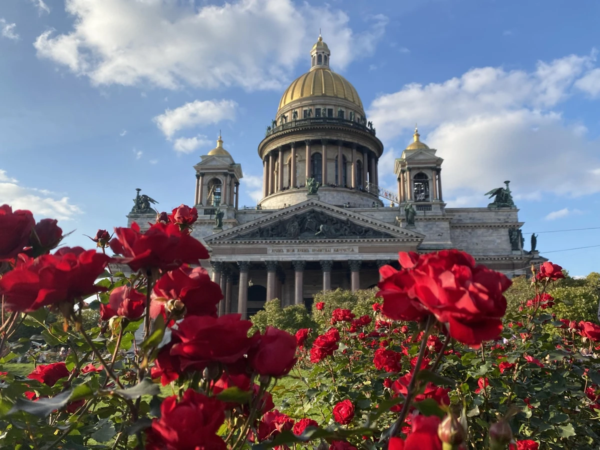 Автобусная стендап-экскурсия по Петербургу с комиком и гидом (6/9)
