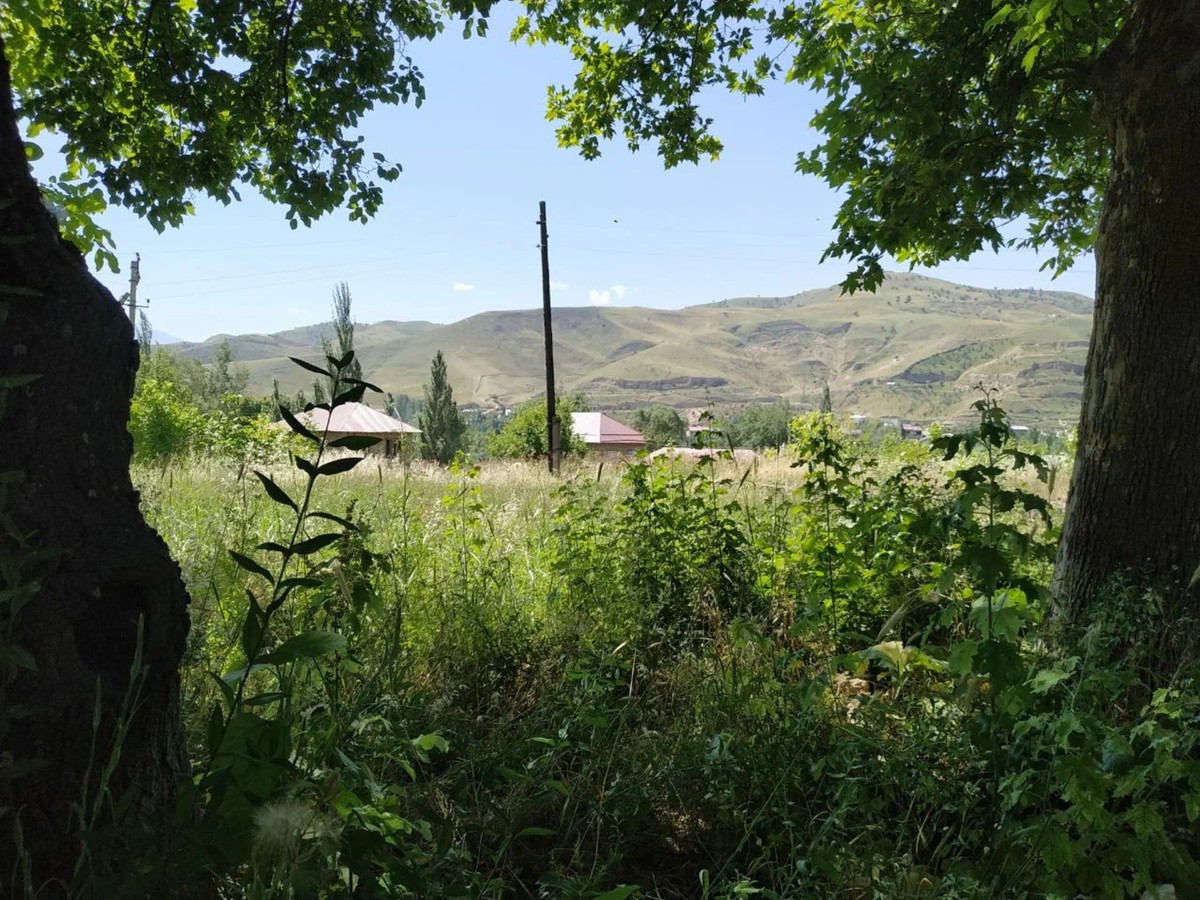 Фото Из Самарканда — к перевалу Тахтакарача, древнему городу Шахрисабз и горам Мираки