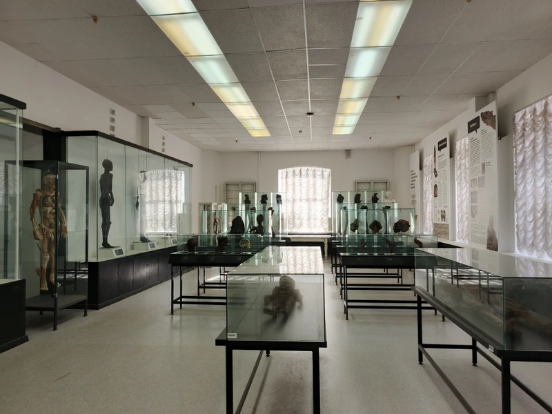 Спасибо экскурсоводу, она очаровательна, очень интересно рассказала всё, эта экскурсия стала самым ярким впечатлением от поездки в СПб