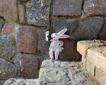 Сказочный Светлогорск