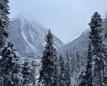 Программа на выбор
