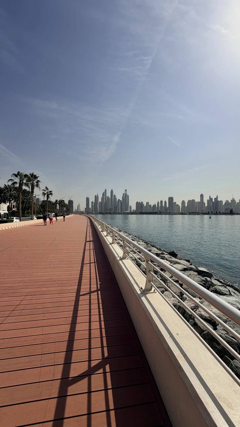 С Дубаем на «ты» (Полина)