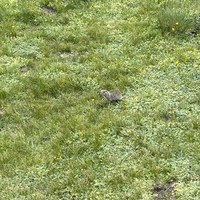 Фото отзыва 2: экскурсия "Нестандартная поездка в Приэльбрусье из Ессентуков. Горы в сердце, а сердце — в горах!"