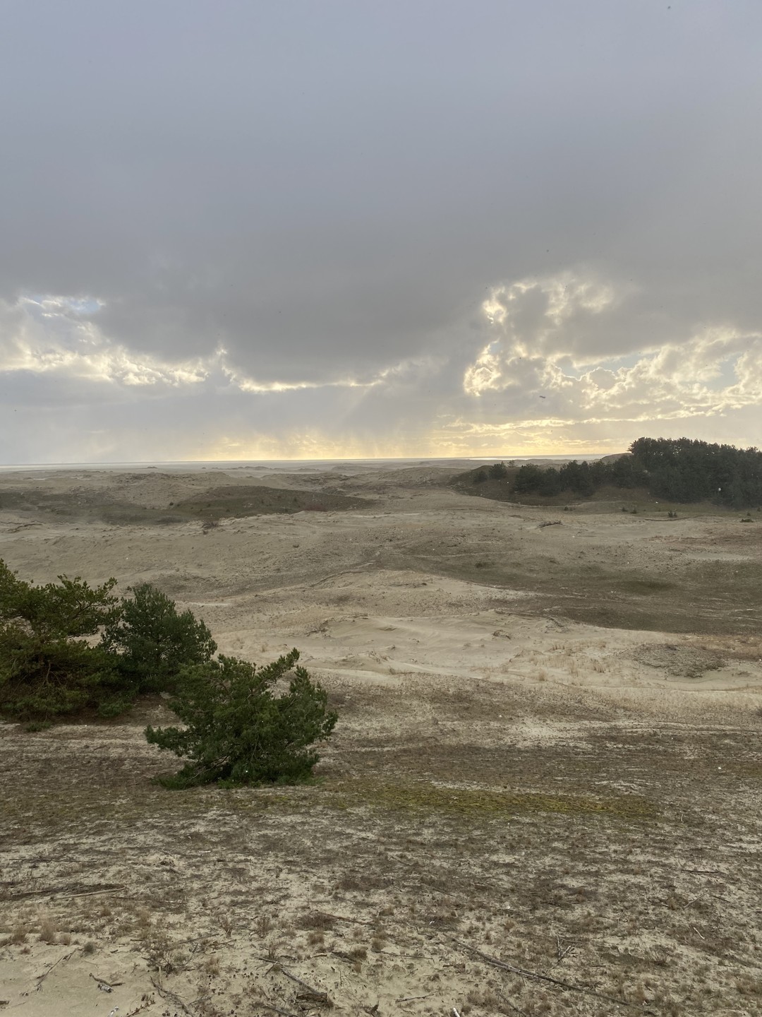 Оказалось, это прекрасная идея - сразу из аэропорта поехать на Куршскую косу! Прекрасная машина, Игорь -