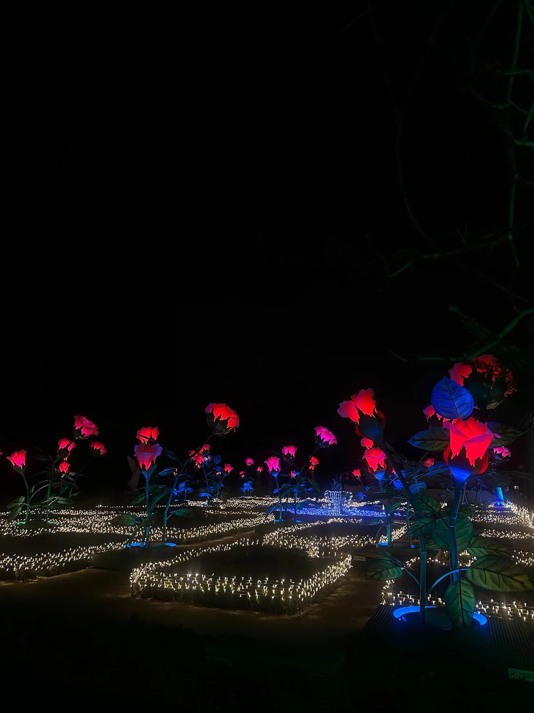 Яна очень интересно,красочно показала Рождественскую Варшаву, экскурсия получилась очень душевная,такая знаете, как будто прослушали звон колокольчика