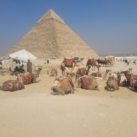 reviews img