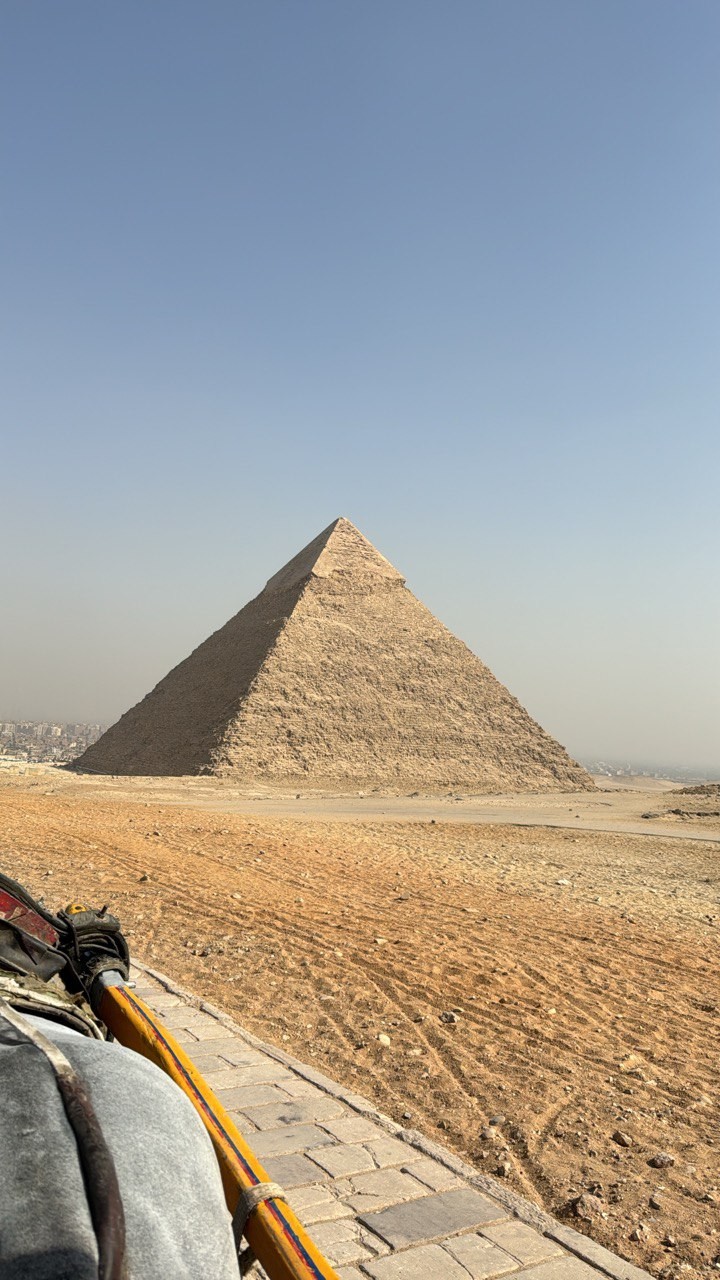 Саид и Шариф заслуживают отдельной благодарности за экскурсии, проведенные с истинной теплотой и вниманием. Как опытный