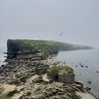 Фото отзыва 1: экскурсия "Лучшее на Русском острове: охватить самое важное за 1 день"