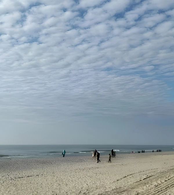 Куршская коса и Зеленоградск: увлекательное путешествие