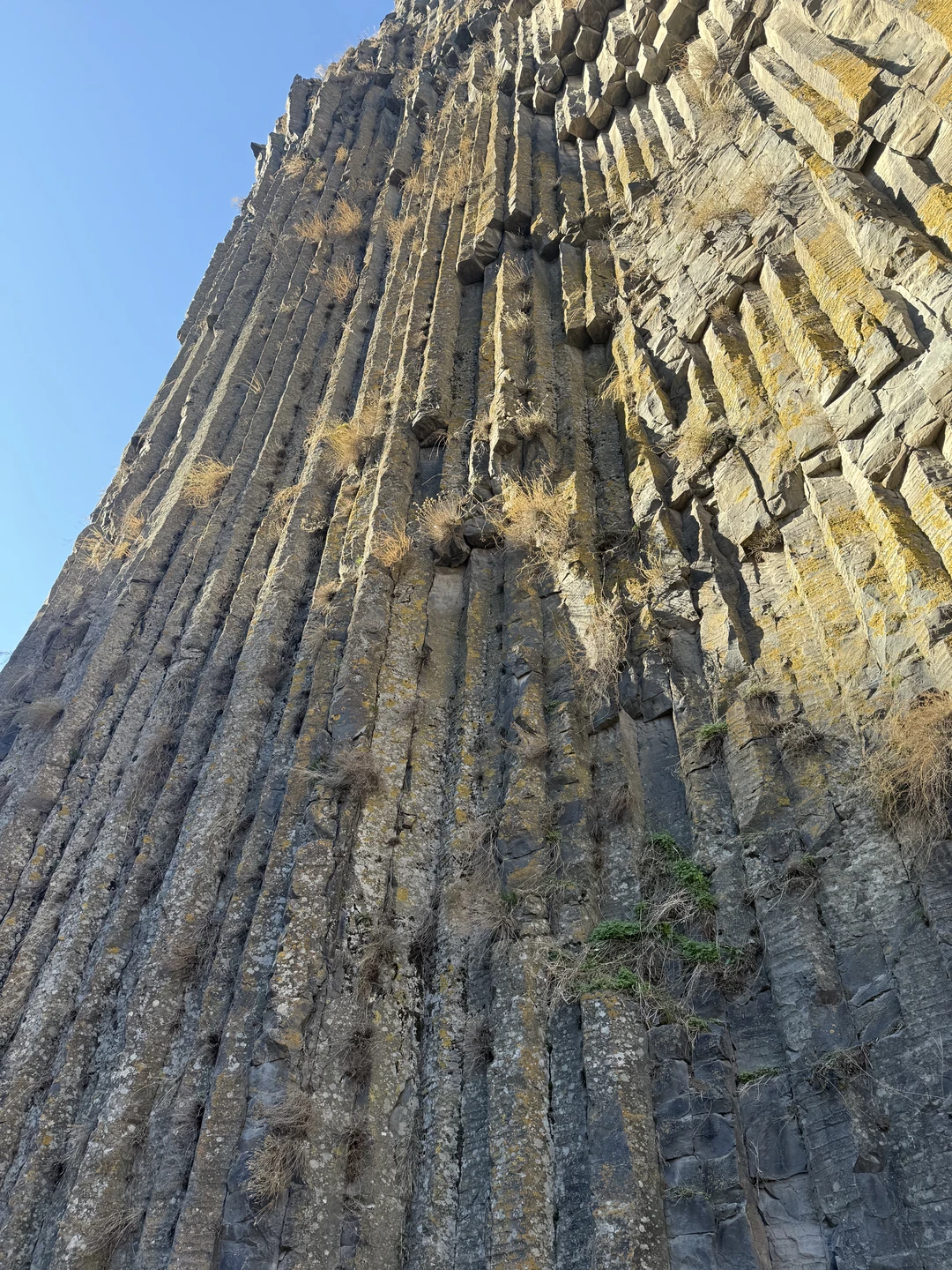 Огромное спасибо за такую потрясающую экскурсию❤️