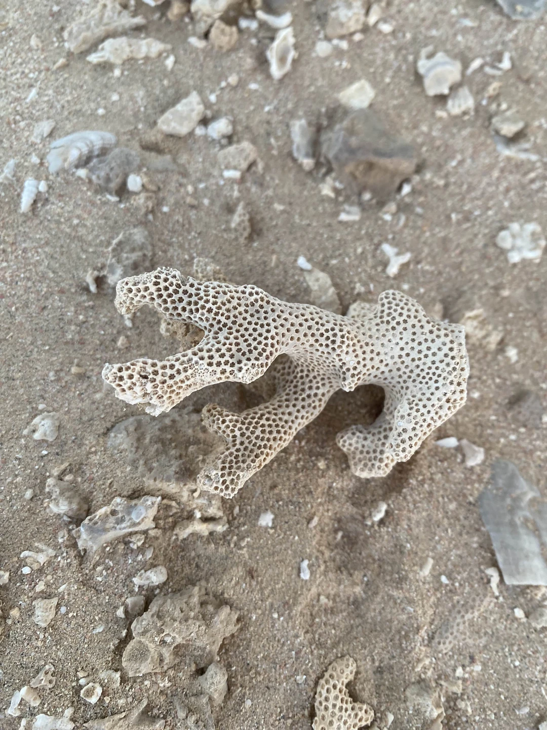 Потрясающая организация!