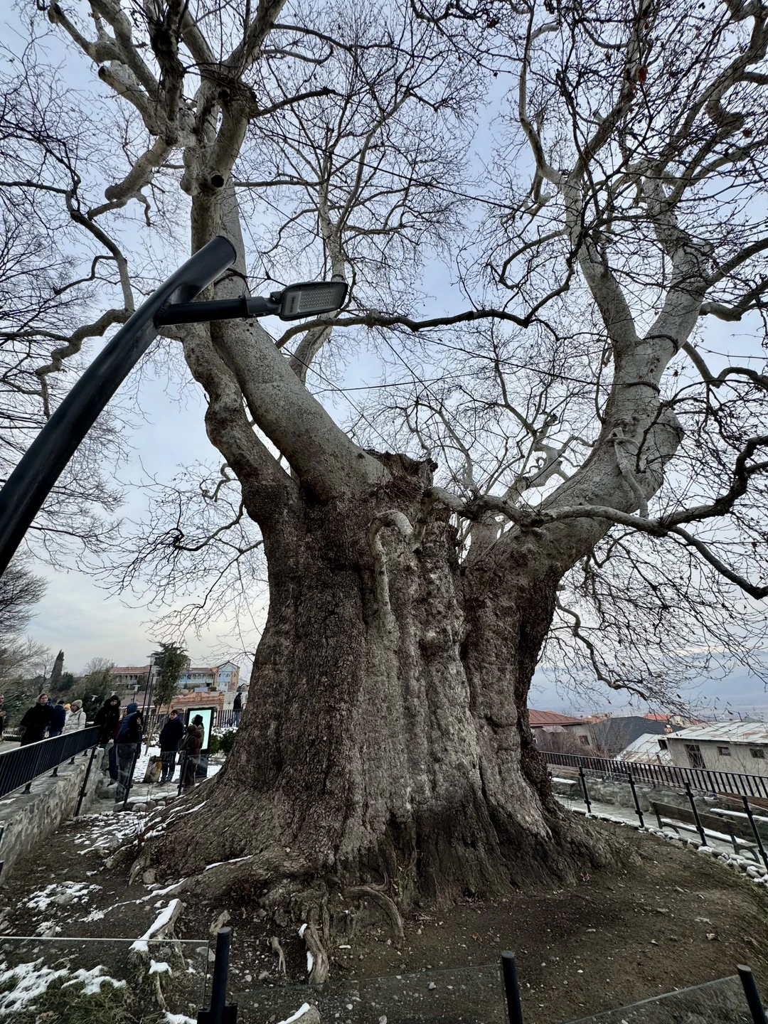 Кахетия: вино, легенды и красота (в группе) (Александр)