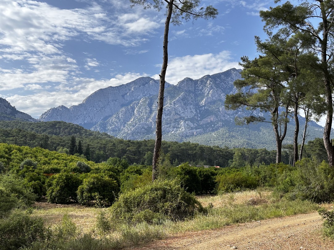 Прикольный опыт вождения квадроцикла