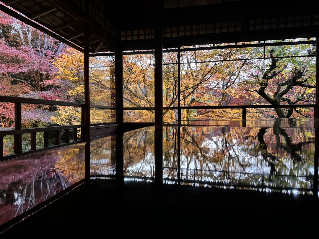 Были на экскурсии с Мариной в Киото во время красных кленов. Это было замечательно! Всем очень