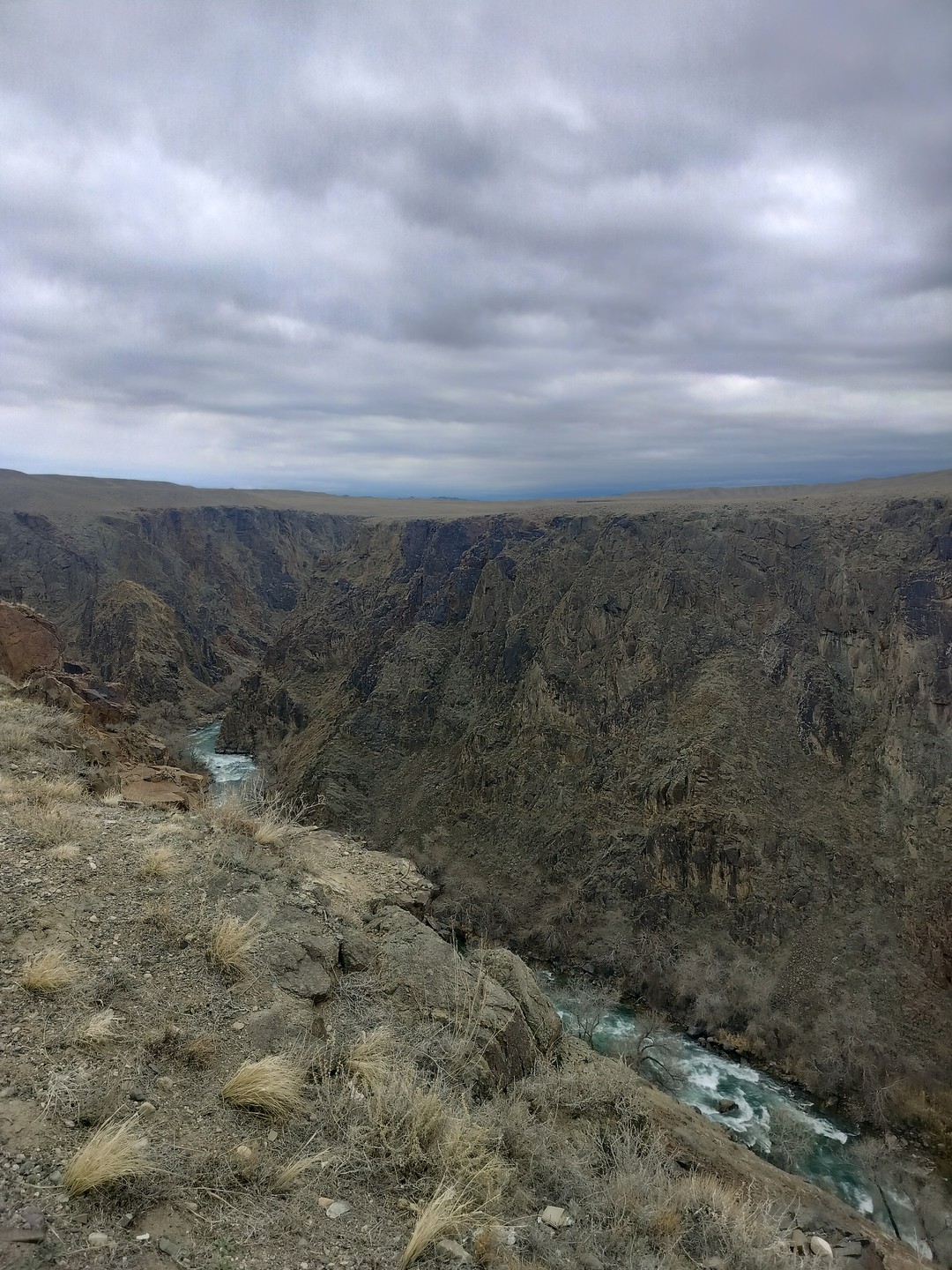 Замечательные организаторы. Внимательные к деталям и к каждому участнику
