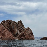 Фото отзыва 2: экскурсия "Путешествие на катере вокруг острова Русский + обед из морепродуктов"